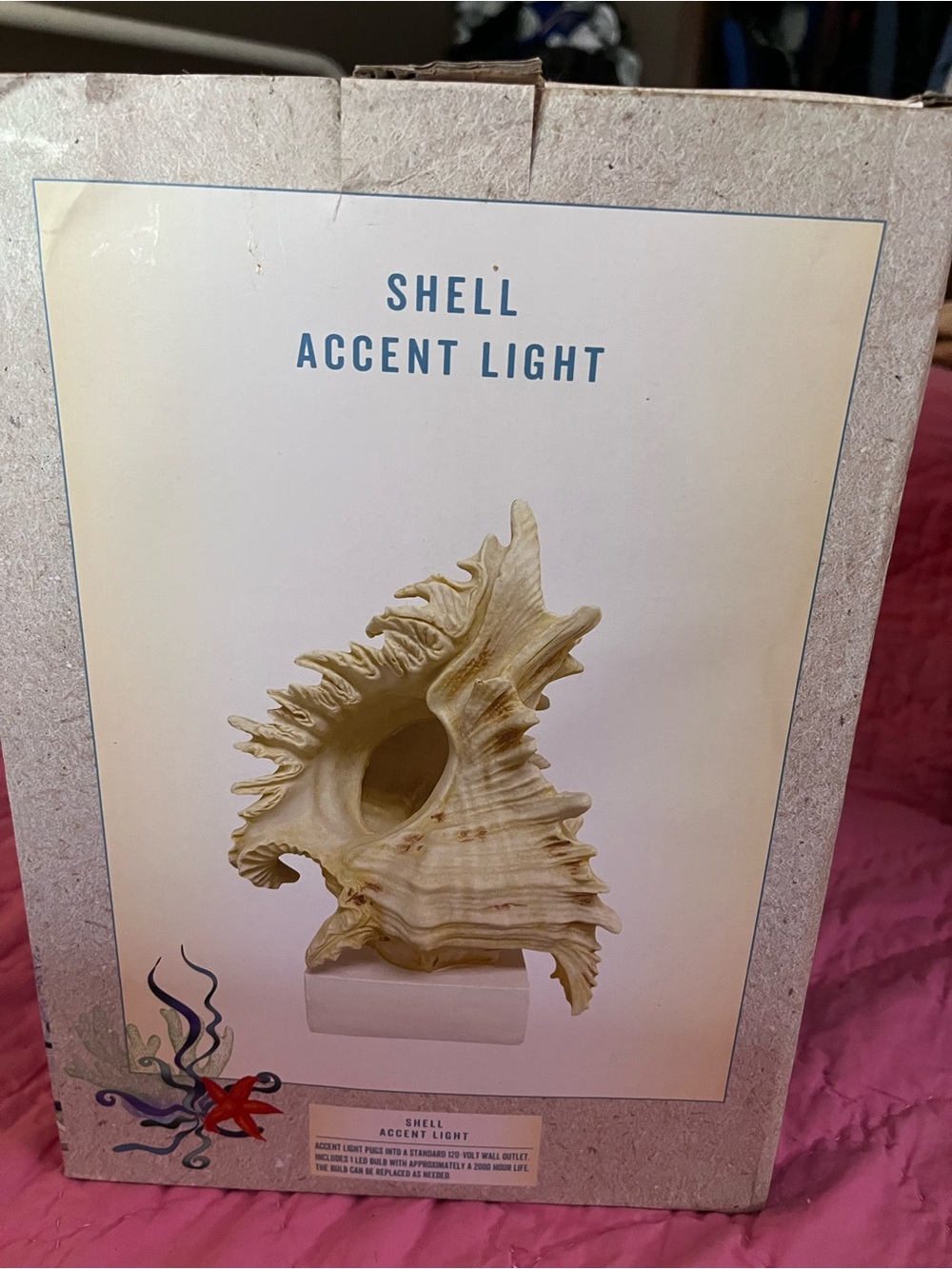 Cracker Barrel Beige Shell Accent Light New